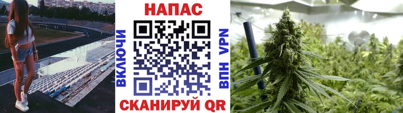 Виды наркоты Ленинск-Кузнецкий Гашиш  Бутират  АМФ  Меф  Каннабис 